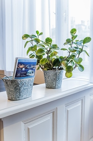 Elegance Apartman