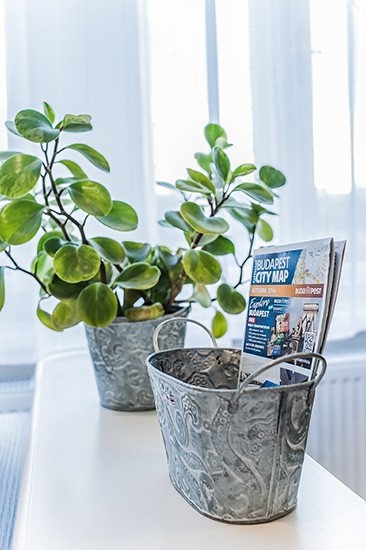 Elegance Apartman